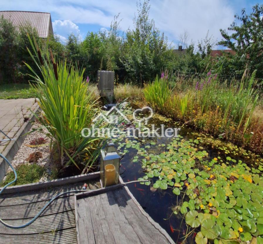Gartenteich
