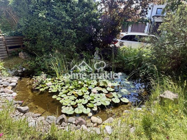 Teich mit Springbrunnen