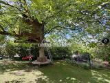 Baumhaus Blick von Terrasse