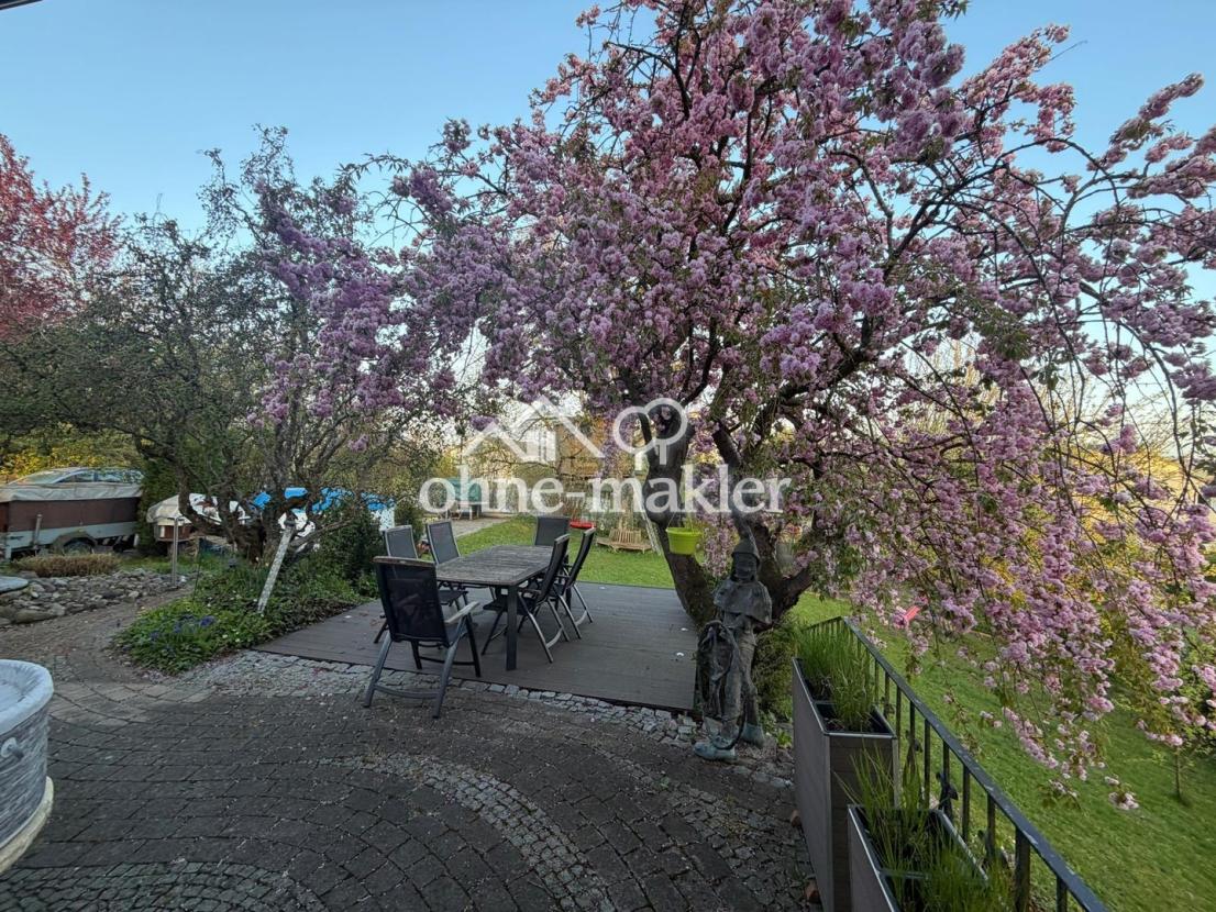 Blick auf Terasse 2