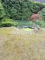 Garten mit Teich