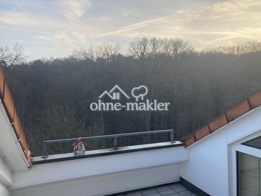 Loggia mit Blick Richtung Wald