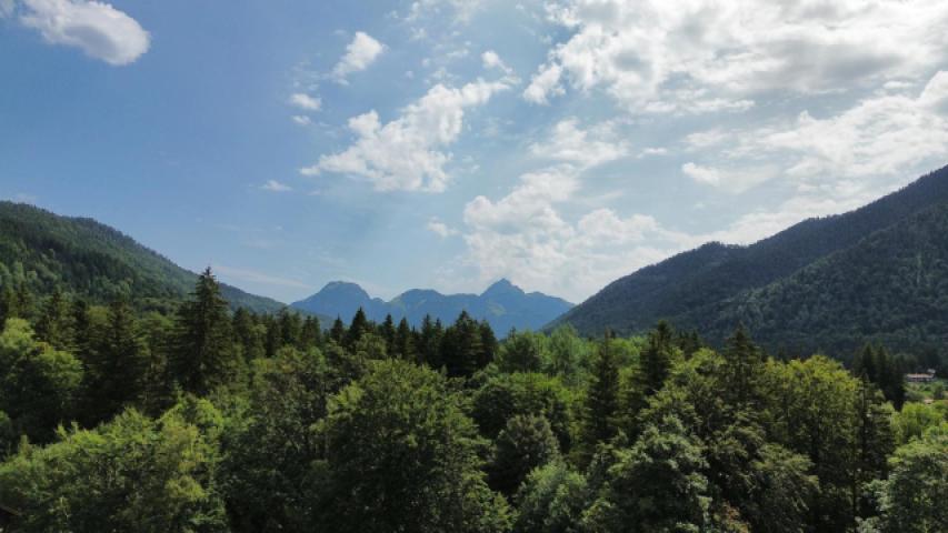 Bergblick