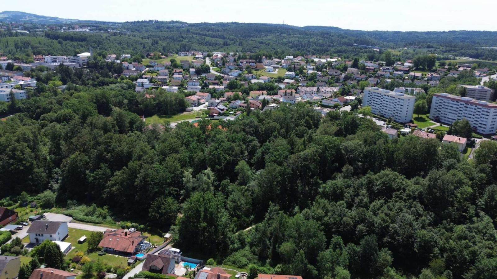 Ausblick Umgebung