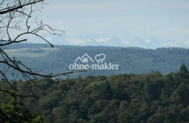 Aussicht Schweizer Berge