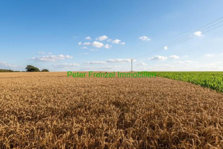 Fernblick