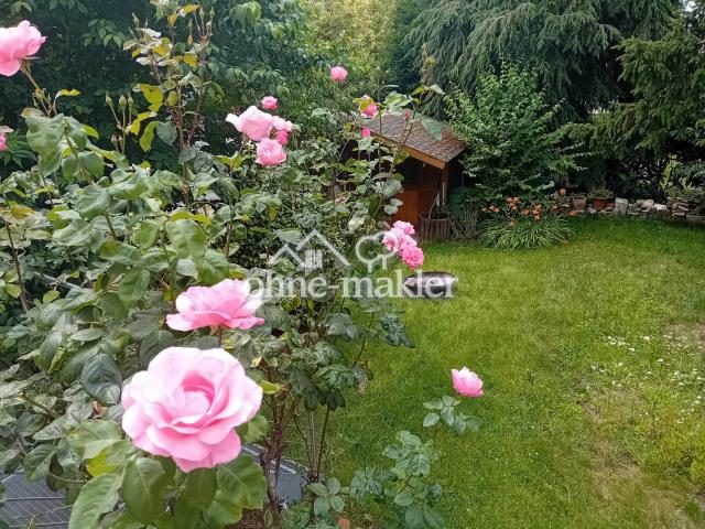 Blick von der Terrasse