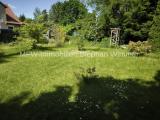 Der schöne Garten