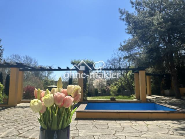 Großzügige Terrasse mit Pool