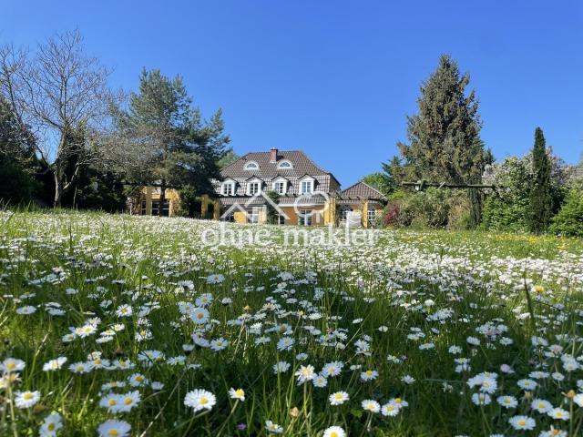 Traumhaus am See - Garten