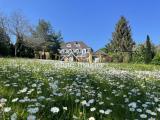 Traumhaus am See - Garten