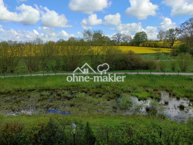 Ausblick OG bei Rapsblüte
