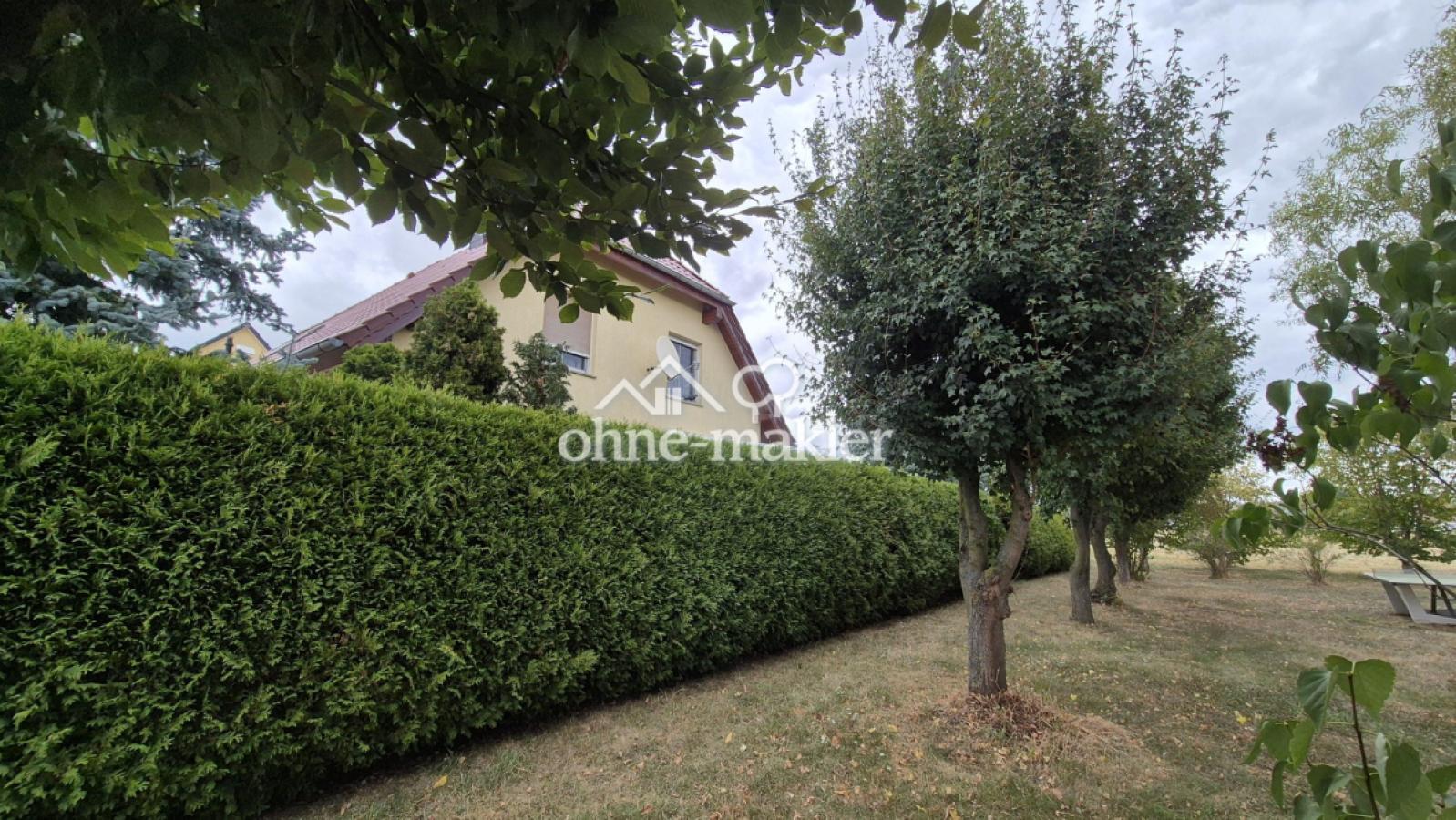 Hecke zum Gemeindegrundstück