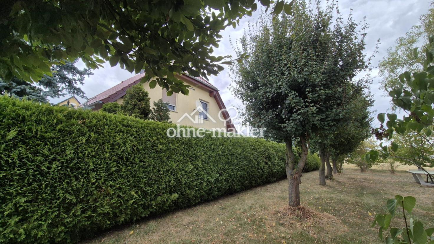 Hecke zum Gemeindegrundstück