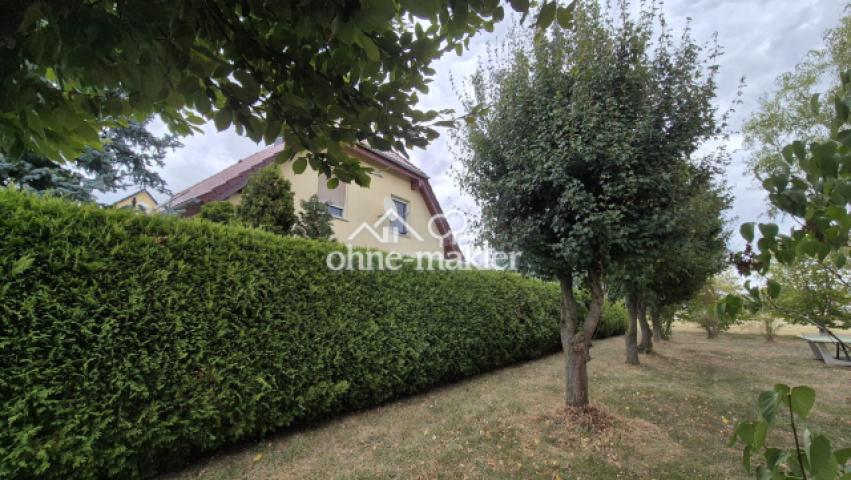 Hecke zum Gemeindegrundstück
