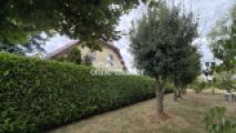 Hecke zum Gemeindegrundstück