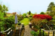 Ansicht Garten
