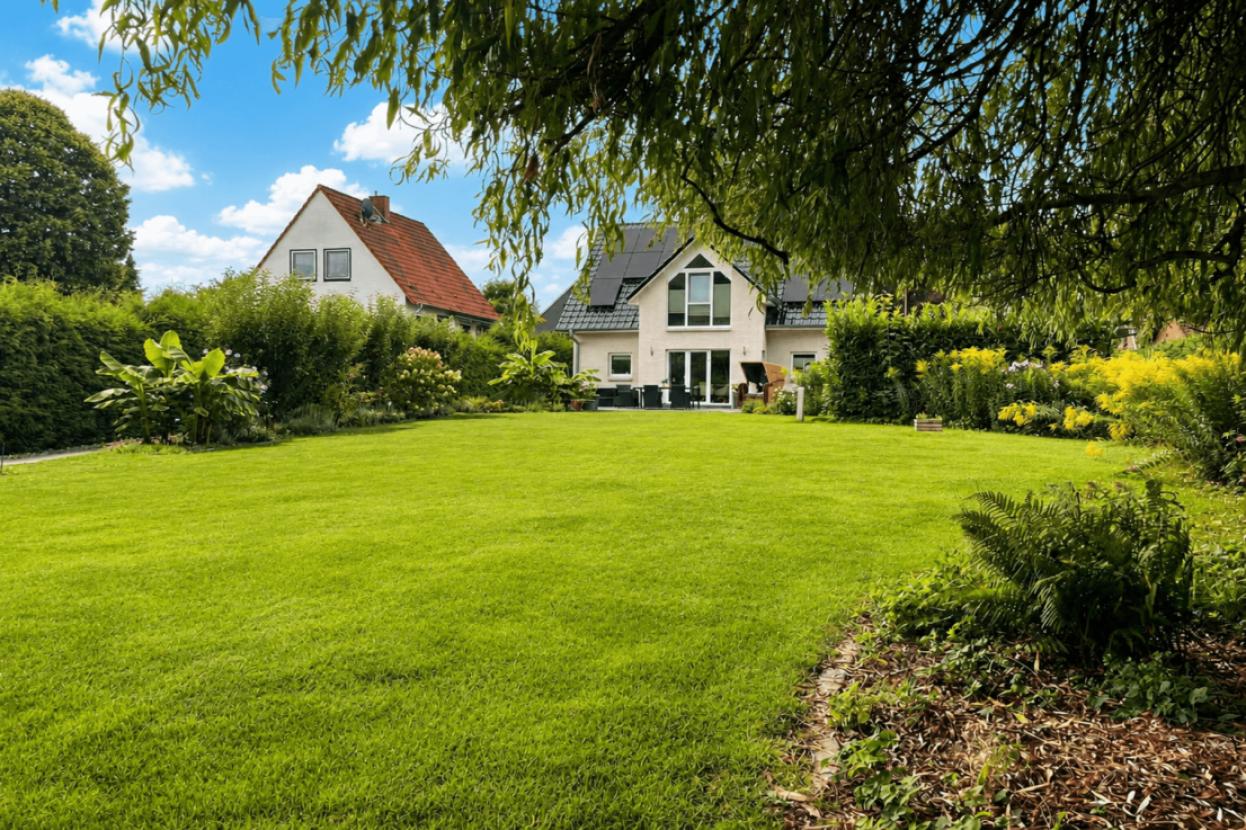 Blick_von_Trauerweide
