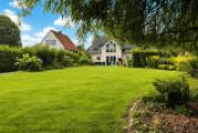 Blick_von_Trauerweide