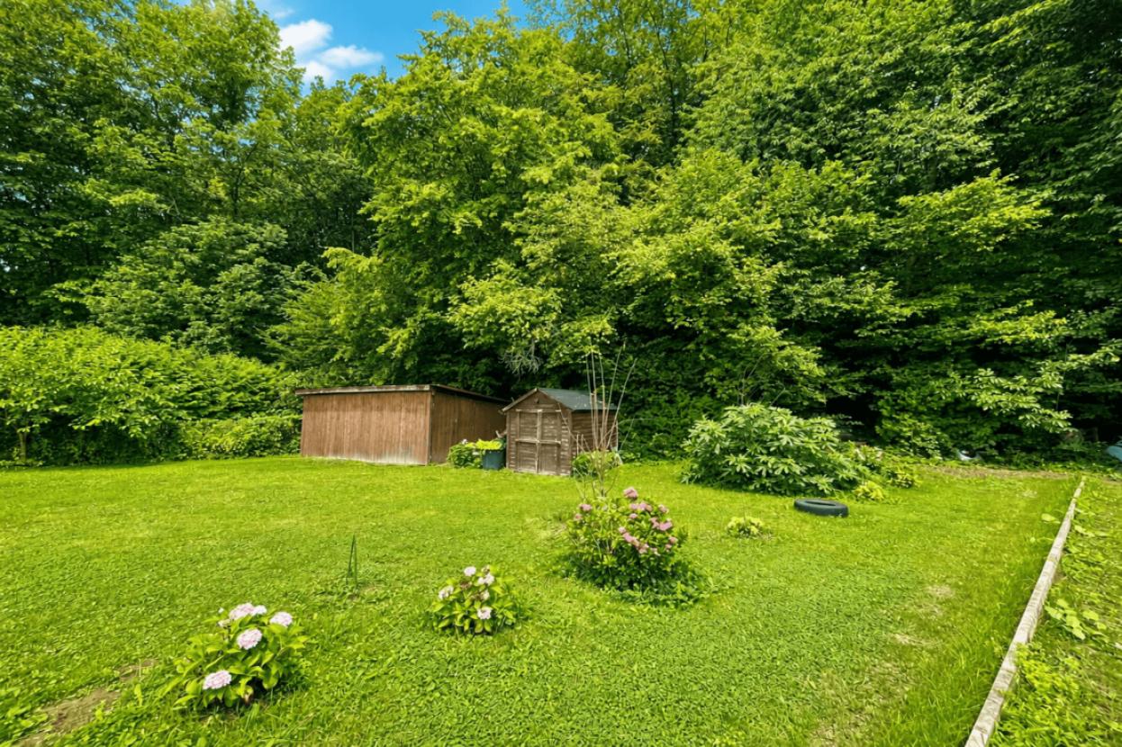 Waldzugang