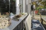 Detailansicht Fenster