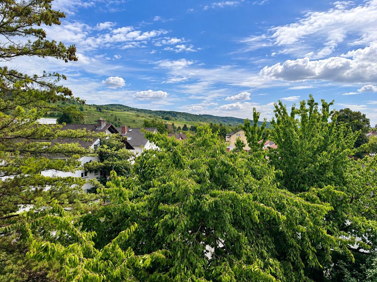 Aussicht vom Balkon