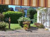 Blick in den Garten