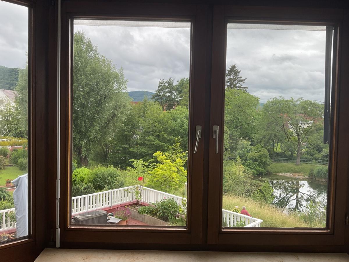 Fensterfront Wohnzimmer