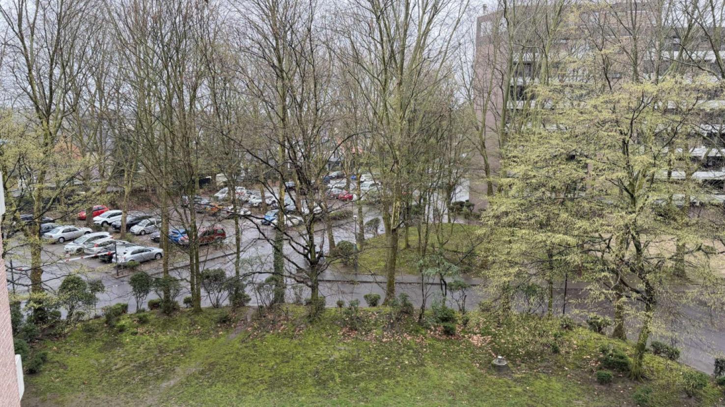 Umgebung