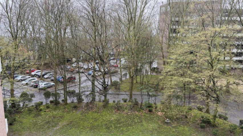 Umgebung