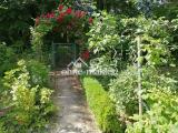 Garten direkt am Haus