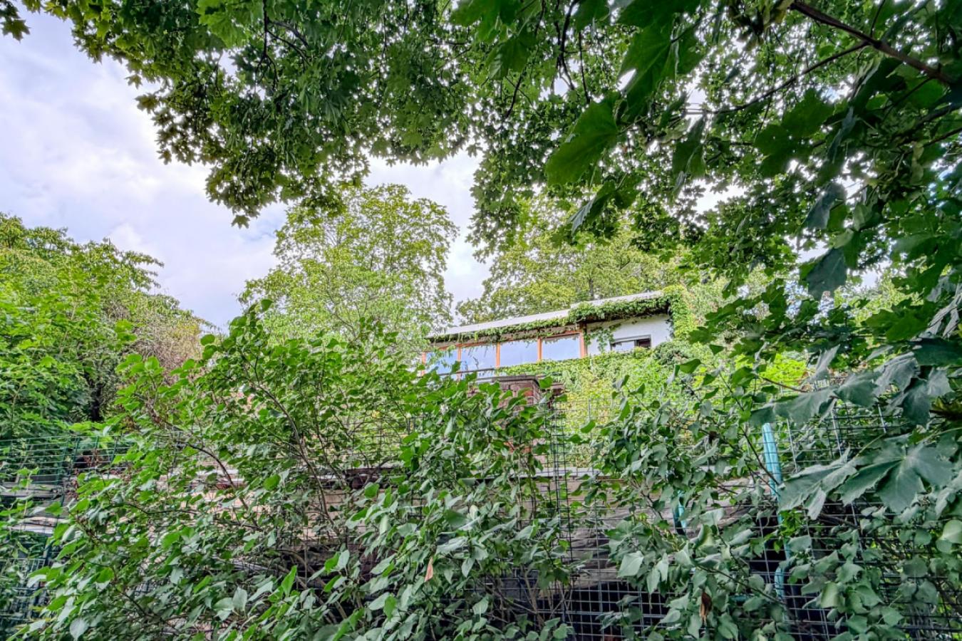 Grundstück Ansicht 09