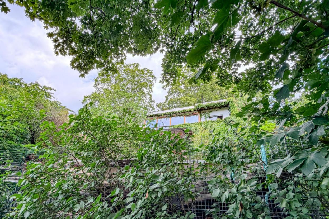 Grundstück Ansicht 09
