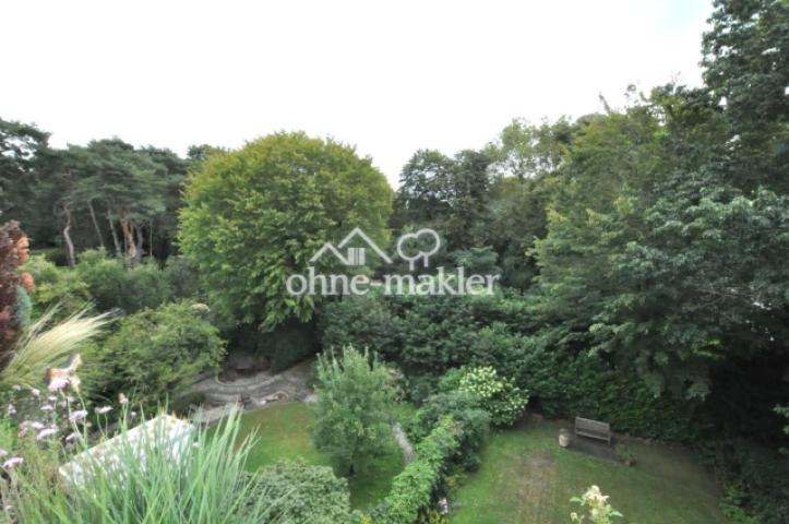 Blick in den Südpark