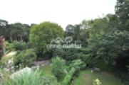 Blick in den Südpark