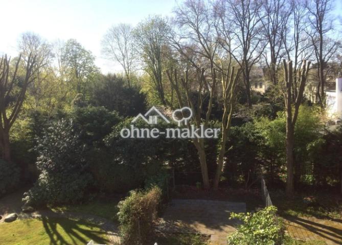 Blick in den Südpark