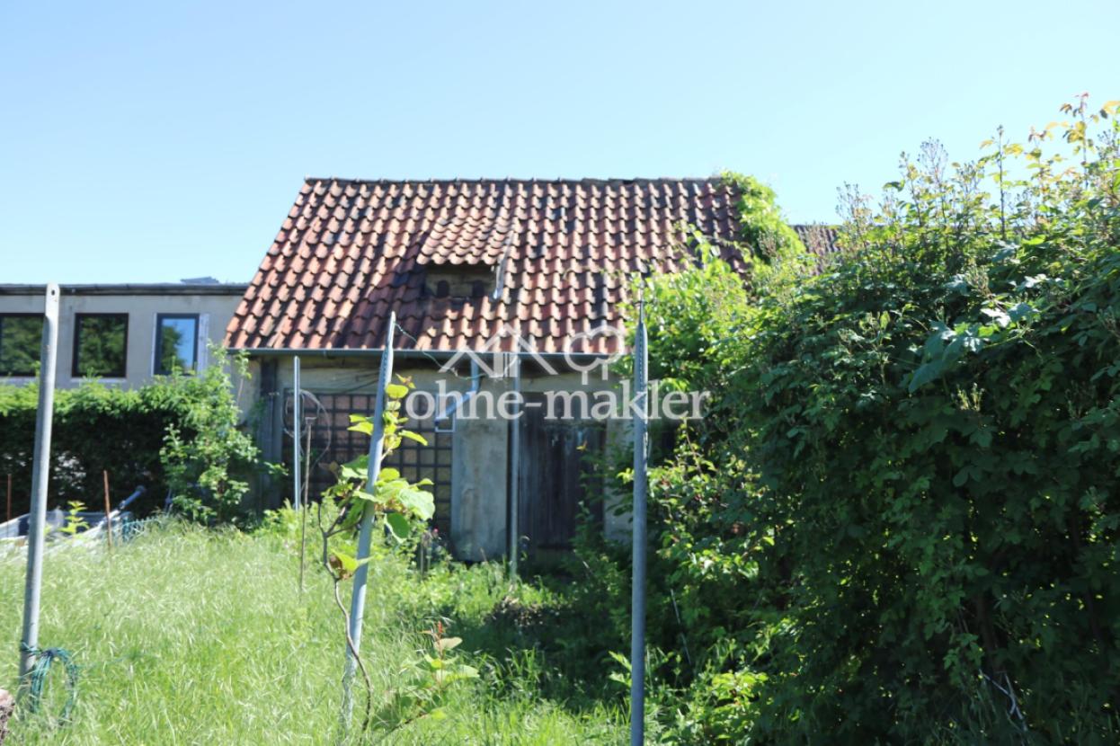 Schuppen mit Garten