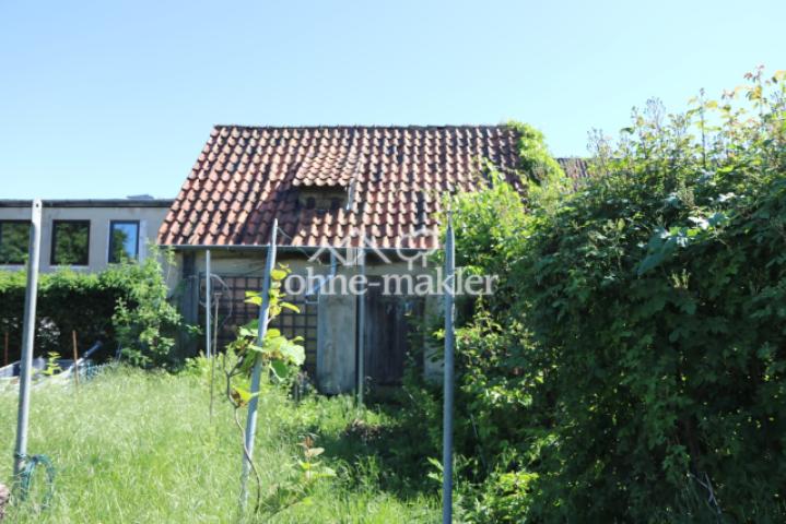 Schuppen mit Garten