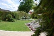 Blick in den Garten