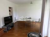 Wohnzimmer/Büro