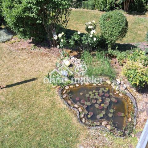 Teich