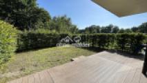Blick in den Garten