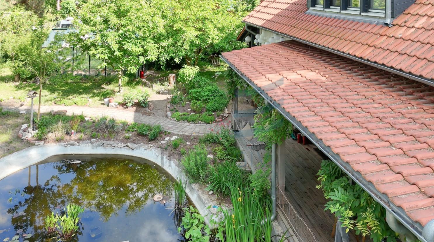 Garten mit Teich/ Veranda