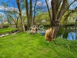Neckar
