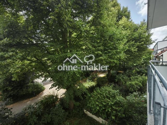 Westblick vom Balkon 