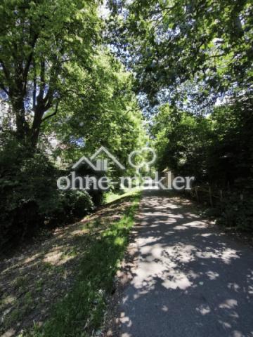 Historische Lindenallee 