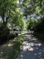 Historische Lindenallee 
