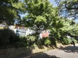 Blick Heinrich Mann Strasse 