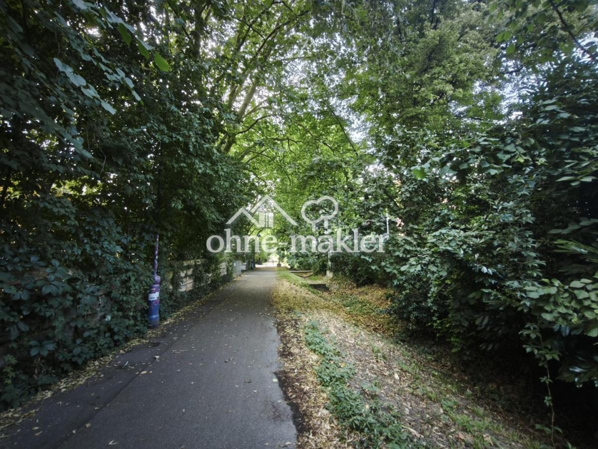 Lindenallee - Radweg - Natur 