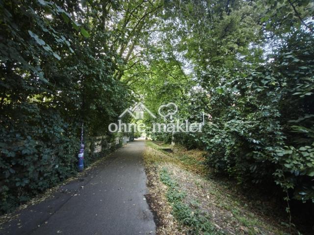 Lindenallee - Radweg - Natur 